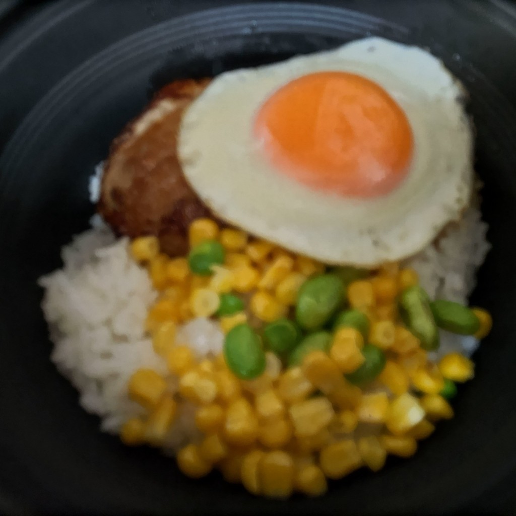 ユーザーが投稿したロコモコ丼の写真 - 実際訪問したユーザーが直接撮影して投稿した石橋ファミリーレストランガスト 東松山店の写真