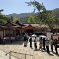 実際訪問したユーザーが直接撮影して投稿した宮島町神社嚴島神社 参拝入口の写真