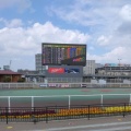 実際訪問したユーザーが直接撮影して投稿した勝島競馬場東京シティ競馬の写真