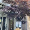 実際訪問したユーザーが直接撮影して投稿した豊岡カフェ茶蔵〜sakura〜の写真