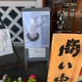 実際訪問したユーザーが直接撮影して投稿した立町うどん山猫亭 本店の写真