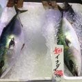 鮮魚 - 実際訪問したユーザーが直接撮影して投稿した女川魚介 / 海鮮料理お魚いちば おかせいの写真のメニュー情報