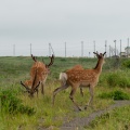 実際訪問したユーザーが直接撮影して投稿した野付海岸 / 岬野付半島の写真