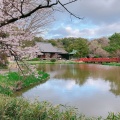 実際訪問したユーザーが直接撮影して投稿した金沢町寺金沢山 称名寺の写真