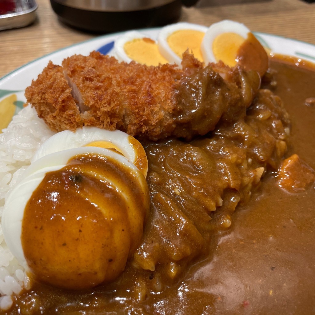 ユーザーが投稿した辛口チキンカレー+チキンカツの写真 - 実際訪問したユーザーが直接撮影して投稿した駅前本町カレーカレーハウス ピヨ 川崎アゼリア店の写真