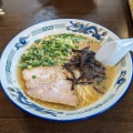 実際訪問したユーザーが直接撮影して投稿した穂積ラーメン / つけ麺とんこつのひろ うま馬分店の写真