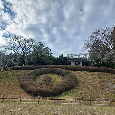 実際訪問したユーザーが直接撮影して投稿した松山千石公園松山御本丸公園の写真