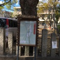 実際訪問したユーザーが直接撮影して投稿した上鳴尾町神社八幡神社の写真