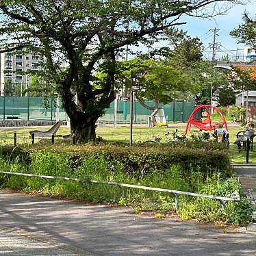 実際訪問したユーザーが直接撮影して投稿した萩山町公園瑞穂公園の写真