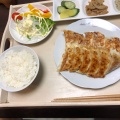 生餃子 - 実際訪問したユーザーが直接撮影して投稿した大船餃子餃子の王将 大船駅笠間口店の写真のメニュー情報