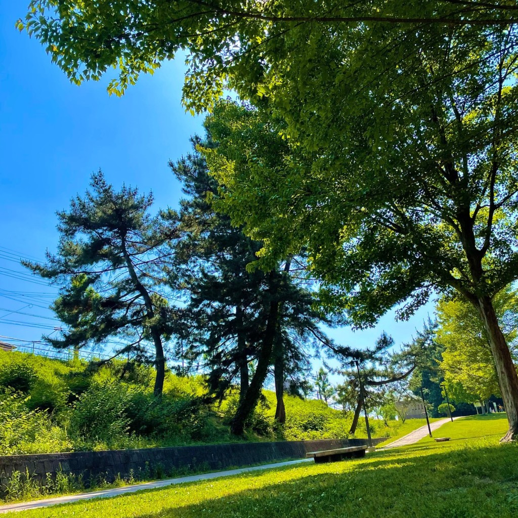 実際訪問したユーザーが直接撮影して投稿した牛牧公園小幡緑地 本園 の写真