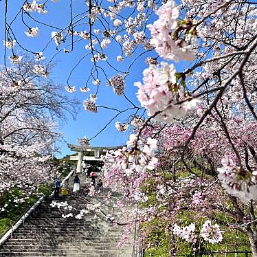 実際訪問したユーザーが直接撮影して投稿した西公園神社光雲神社の写真