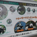 実際訪問したユーザーが直接撮影して投稿した上野公園動物園上野動物園 パンダのもりの写真