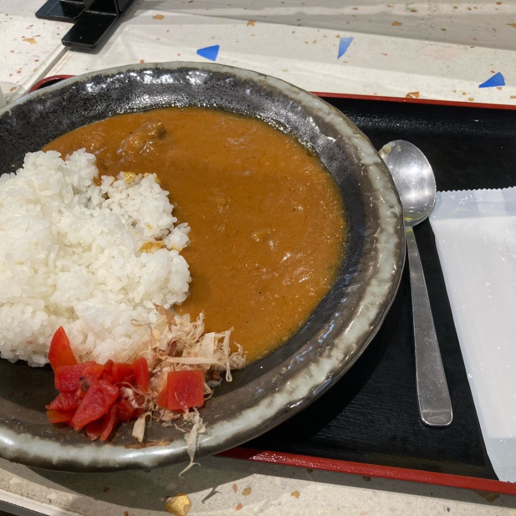 ユーザーが投稿した肉屋の煮込みカレーの写真 - 実際訪問したユーザーが直接撮影して投稿した西宿串揚げ / 串かつ昭和大衆ホルモン 串かつ 勝大 みのおキューズモール店の写真