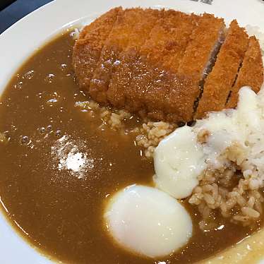 実際訪問したユーザーが直接撮影して投稿した青山カレーCoCo壱番屋 豊山店の写真