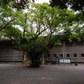 実際訪問したユーザーが直接撮影して投稿した神宮博物館熱田神宮 宝物館・文化殿の写真