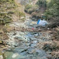 実際訪問したユーザーが直接撮影して投稿した西祖谷山村善徳橋祖谷のかずら橋の写真