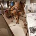 実際訪問したユーザーが直接撮影して投稿した三笠町博物館オホーツクミュージアムえさしの写真