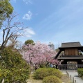 実際訪問したユーザーが直接撮影して投稿した庭園渉成園の写真