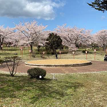 実際訪問したユーザーが直接撮影して投稿した田名部公園早掛沼公園の写真