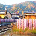 実際訪問したユーザーが直接撮影して投稿した嵯峨天龍寺造路町地域名所嵐山キモノフォレストの写真