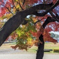 実際訪問したユーザーが直接撮影して投稿した公園町公園豊公園の写真