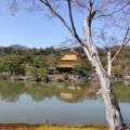 実際訪問したユーザーが直接撮影して投稿した金閣寺町庭園鹿苑寺庭園の写真