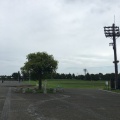 実際訪問したユーザーが直接撮影して投稿した海の公園広場海の公園 なぎさ広場の写真