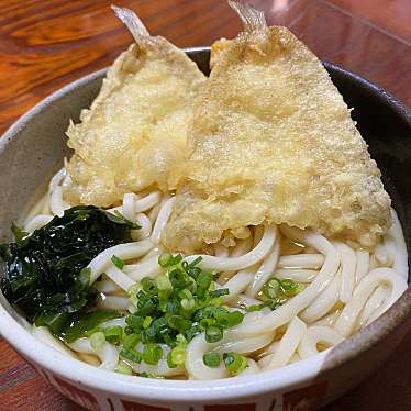 実際訪問したユーザーが直接撮影して投稿した高松町うどん麺こいの写真