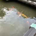 実際訪問したユーザーが直接撮影して投稿した神宮前神社東郷神社の写真