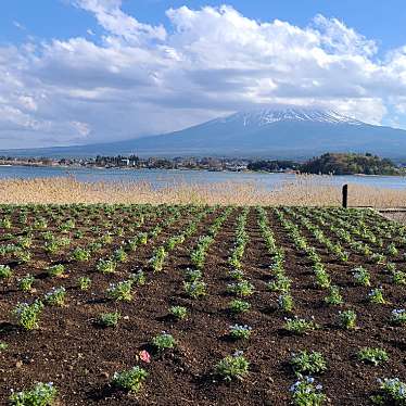 実際訪問したユーザーが直接撮影して投稿した大石公園湖畔の公園の写真