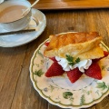 ケーキ - 実際訪問したユーザーが直接撮影して投稿した芝原カフェRose Cafe 風のガーデンの写真のメニュー情報