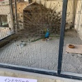 実際訪問したユーザーが直接撮影して投稿した桜町動物園鯖江市 西山動物園の写真