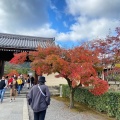 実際訪問したユーザーが直接撮影して投稿した嵯峨天龍寺芒ノ馬場町寺天龍寺の写真