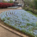 実際訪問したユーザーが直接撮影して投稿した神明町公園くりはま花の国の写真