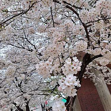 伊勢崎市華蔵寺公園遊園地のundefinedに実際訪問訪問したユーザーunknownさんが新しく投稿した新着口コミの写真