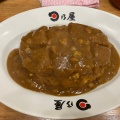 カツカレー - 実際訪問したユーザーが直接撮影して投稿した築地カレー日乃屋カレー 築地二丁目店の写真のメニュー情報