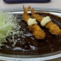 実際訪問したユーザーが直接撮影して投稿した三納カレーゴーゴーカレー 丼丼 野々市市役所前スタジアムの写真