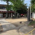 実際訪問したユーザーが直接撮影して投稿した今井神社今井神社の写真