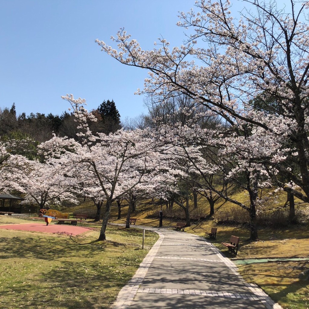 ミルクティーとキャラメル珈琲さんが投稿した田中公園のお店福島空港公園/フクシマクウコウコウエンの写真