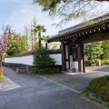 実際訪問したユーザーが直接撮影して投稿した東伊興寺浄光寺の写真
