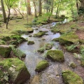 実際訪問したユーザーが直接撮影して投稿した成田公園成田山公園の写真