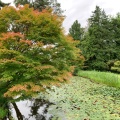 実際訪問したユーザーが直接撮影して投稿した公園大池公園の写真