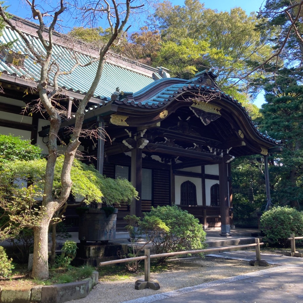 実際訪問したユーザーが直接撮影して投稿した大町寺妙本寺 本堂の写真