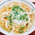 かけうどん - 実際訪問したユーザーが直接撮影して投稿した寿町うどん釜揚げうどん 岡じま 高松店の写真のメニュー情報