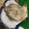 実際訪問したユーザーが直接撮影して投稿した新浜町魚介 / 海鮮料理塩釜仲卸市場 マイ海鮮丼コーナーの写真