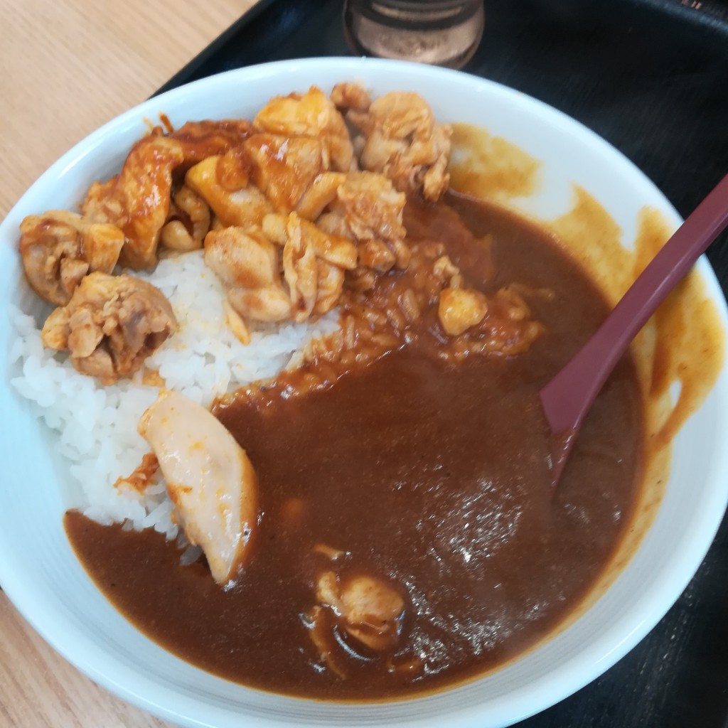 ユーザーが投稿したスパイシーカレーの写真 - 実際訪問したユーザーが直接撮影して投稿した西霞町牛丼吉野家 2号線東雲店の写真