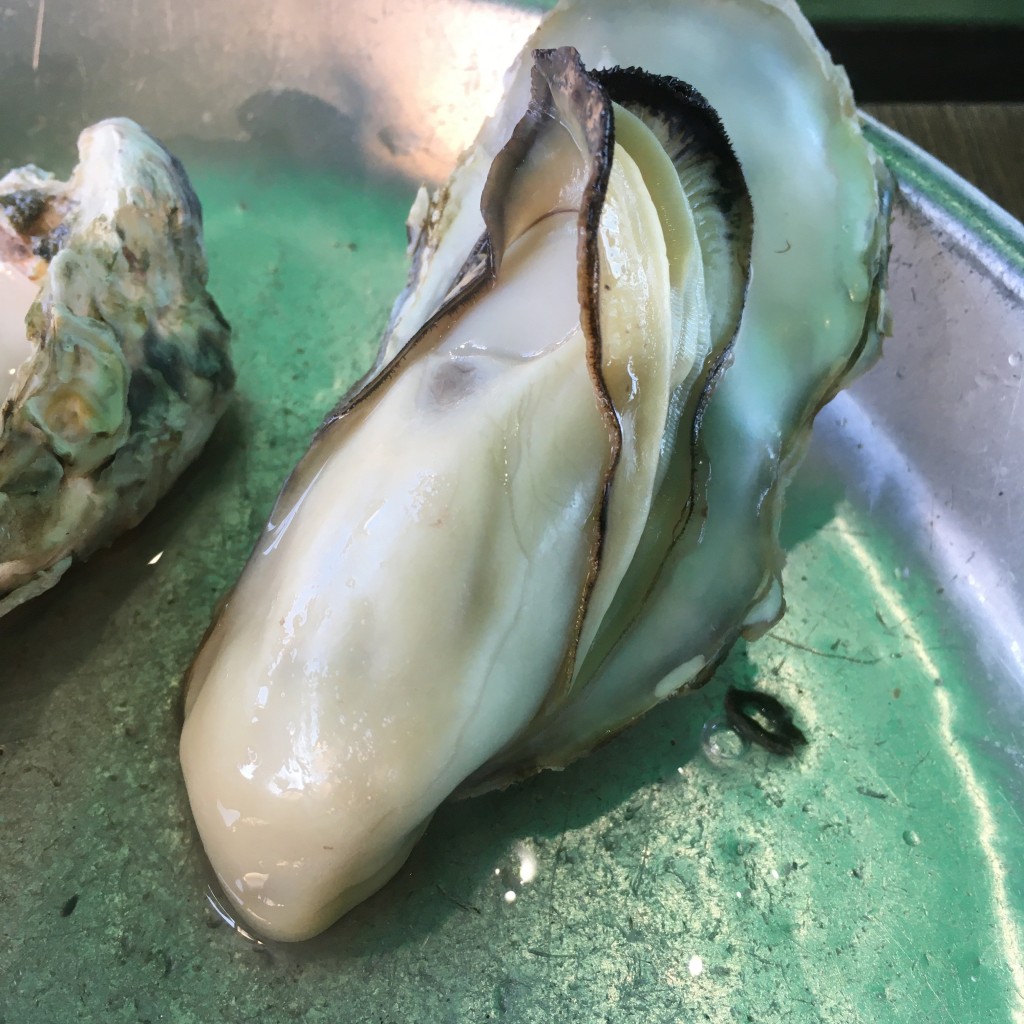 ユーザーが投稿した焼き牡蠣の写真 - 実際訪問したユーザーが直接撮影して投稿した大浦丁魚介 / 海鮮料理大成丸海産の写真