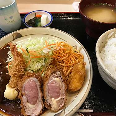 実際訪問したユーザーが直接撮影して投稿した池田洋食キッチンさのやの写真