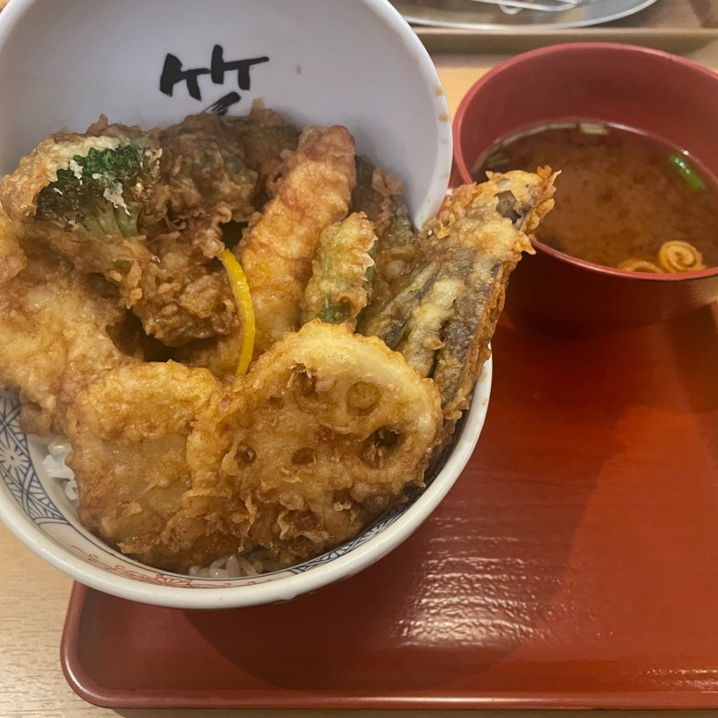 ユーザーが投稿した海老一本丼の写真 - 実際訪問したユーザーが直接撮影して投稿した駅元町丼ものえびのや さんすて岡山店の写真